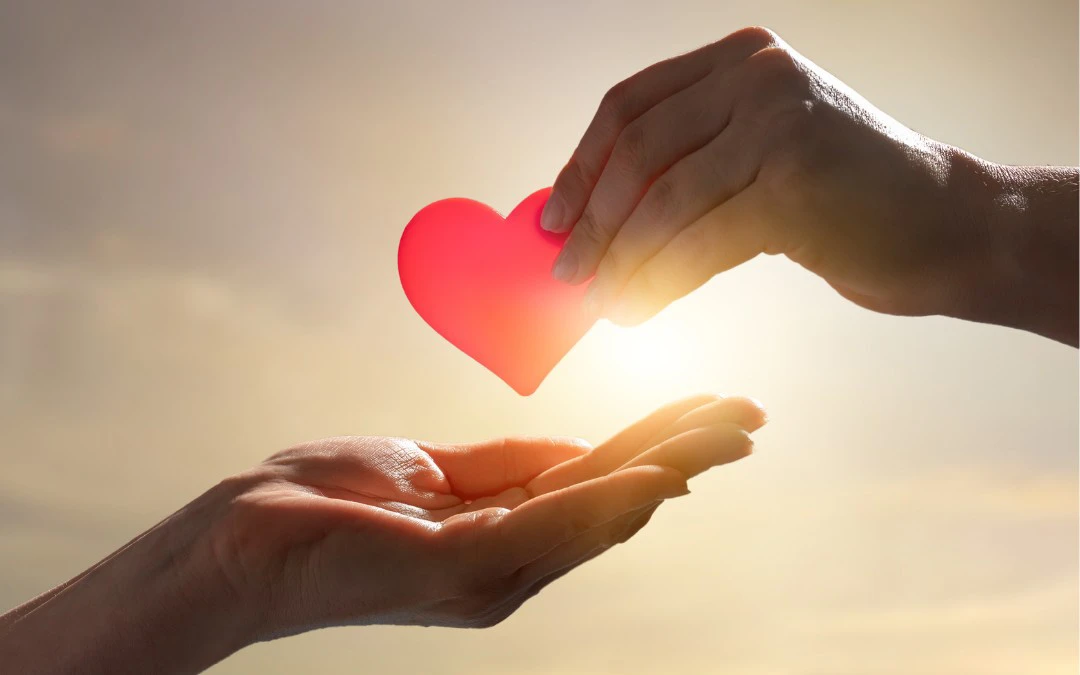 Maj – miesiąc darowizn